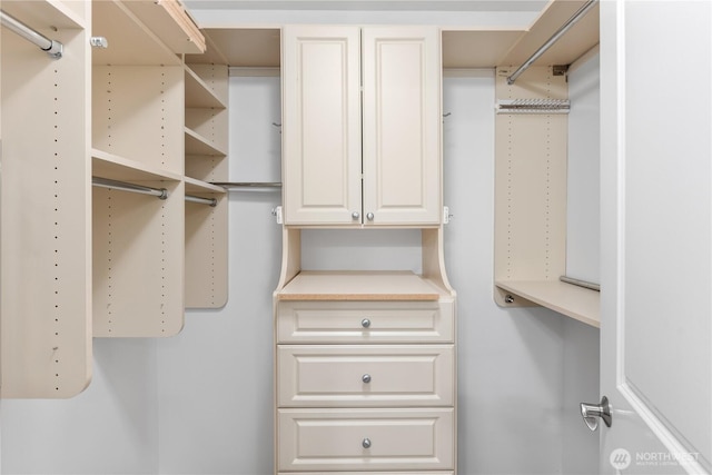 view of spacious closet