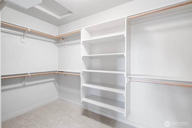 walk in closet featuring carpet flooring and attic access