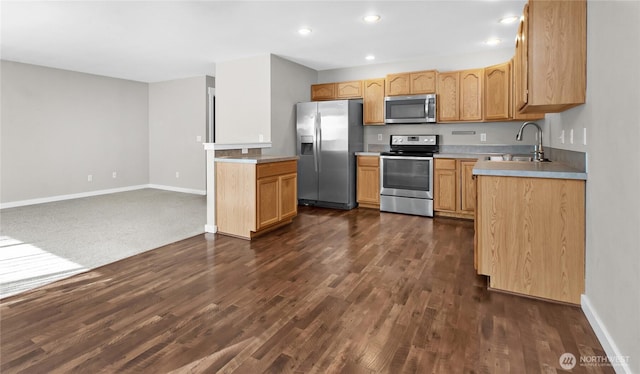 kitchen featuring stainless steel appliances, a sink, recessed lighting, baseboards, and dark wood finished floors