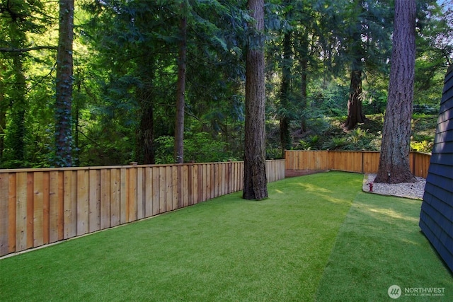 view of yard