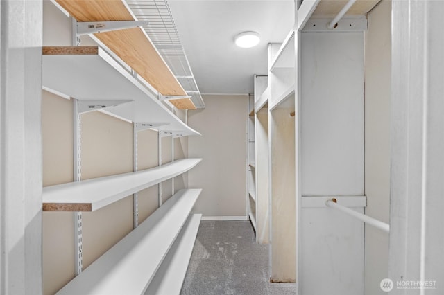 view of spacious closet