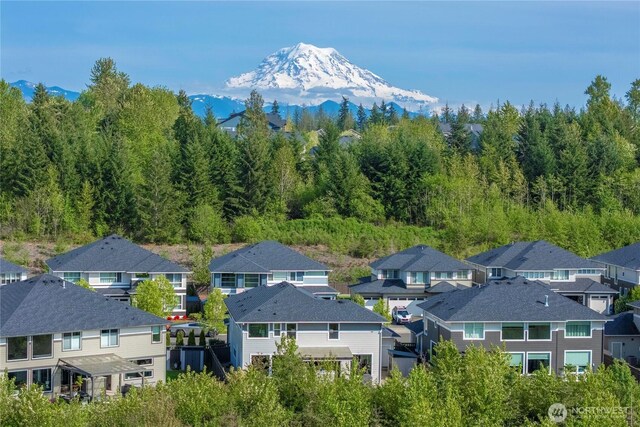 13220 181st Avenue Ct E, Bonney Lake, WA 98391 - photo 35