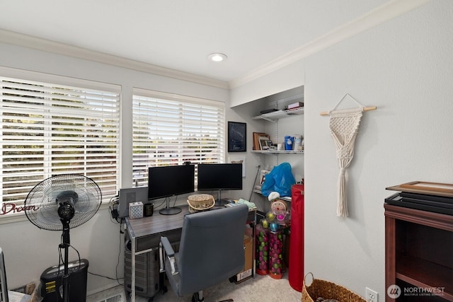 office featuring crown molding and carpet