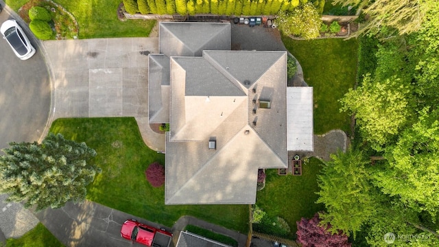 bird's eye view