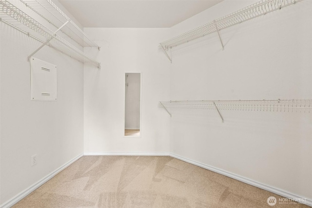 walk in closet featuring carpet and electric panel