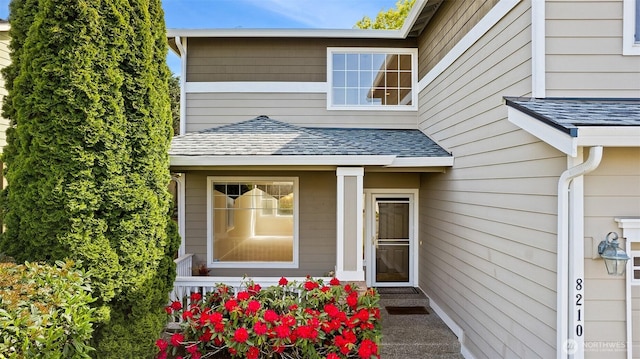 doorway to property featuring roof with shingles
