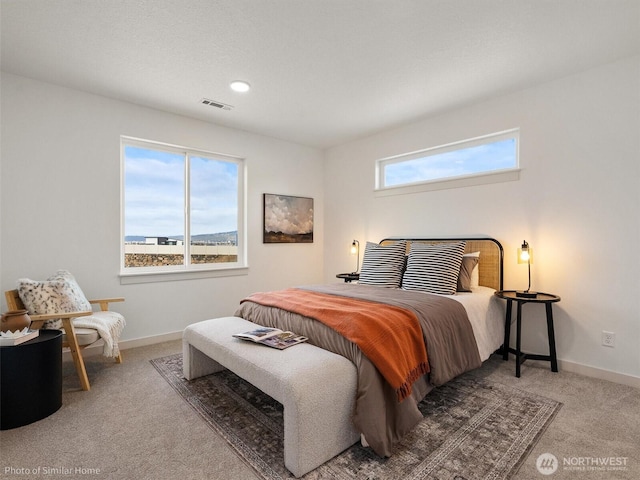 1349 Bill Ave, Walla Walla, WA 99362 - bedroom with carpet floors, baseboards, and recessed lighting