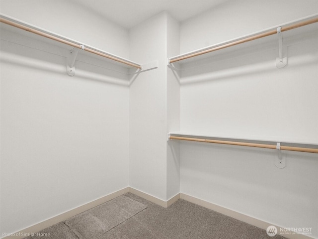 1349 Bill Ave, Walla Walla, WA 99362 - spacious closet featuring carpet flooring