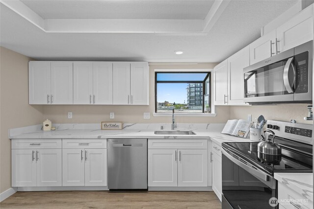 kitchen featuring light wood-type flooring, a sink, a raised ceiling, stainless steel appliances, and white cabinetry