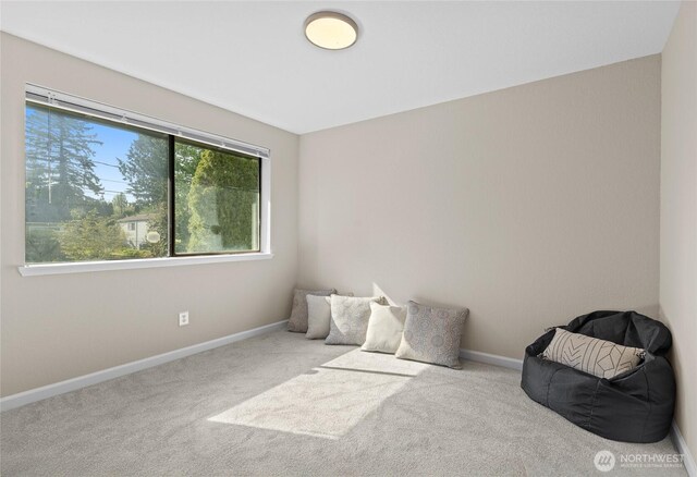living area with carpet floors and baseboards