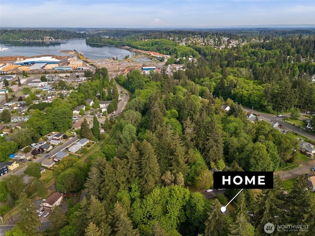 505 S 8th, Shelton, WA 98584 - aerial view of property's location with a forest and a nearby body of water