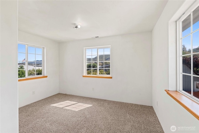 carpeted empty room featuring visible vents and a wealth of natural light