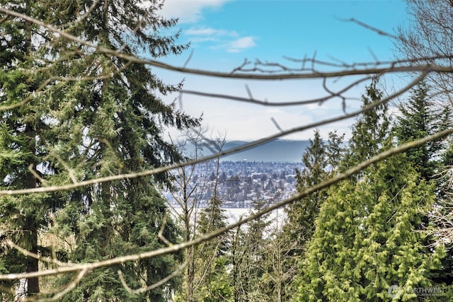 6211 116th Ave NE, Kirkland, WA 98033 - water view featuring a forest