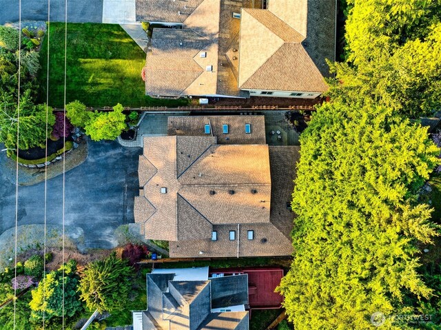 bird's eye view