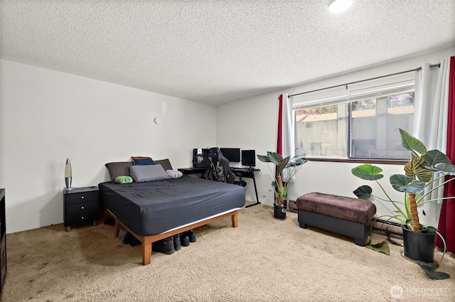 4008 S 158th St Unit J, Tukwila, WA 98188 - bedroom featuring a textured ceiling and carpet floors
