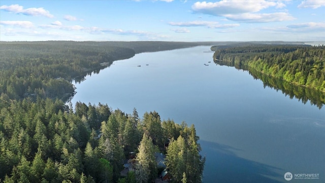 161 E Heron Cv, Shelton, WA 98584 - aerial view featuring a water view and a view of trees