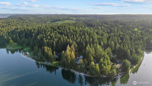 161 E Heron Cv, Shelton, WA 98584 - bird's eye view featuring a water view and a wooded view