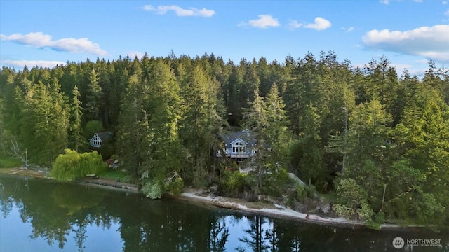 161 E Heron Cv, Shelton, WA 98584 - aerial view with a forest view and a water view