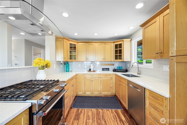 kitchen with light brown cabinetry, dark wood-type flooring, tasteful backsplash, a sink, and stainless steel appliances