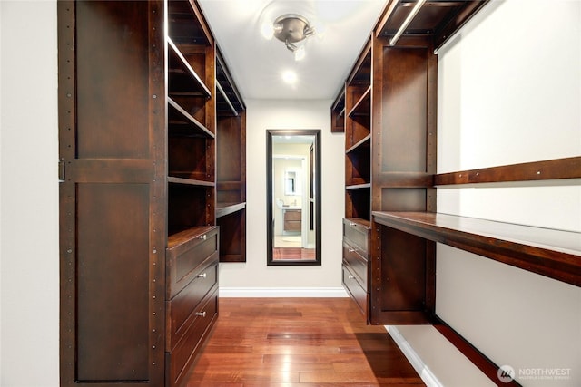 walk in closet featuring dark wood-type flooring