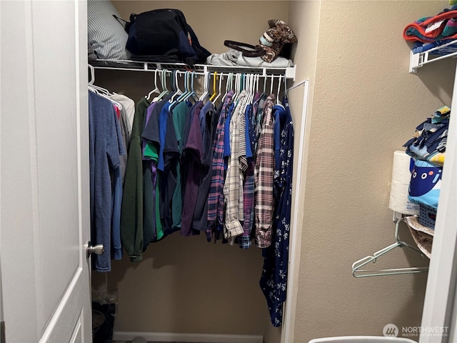 view of spacious closet