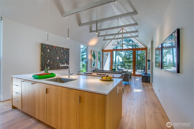 51 Lakshmi Rd, Orcas Island, WA 98245 - kitchen with a sink, rail lighting, open floor plan, modern cabinets, and light wood finished floors