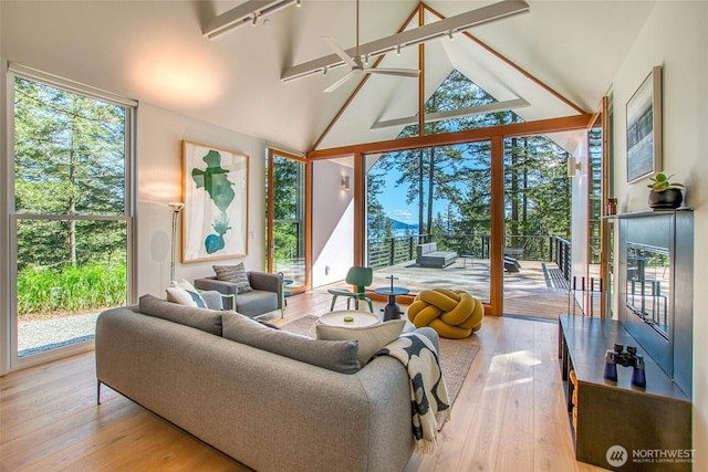 51 Lakshmi Rd, Orcas Island, WA 98245 - living area with light wood-style floors, track lighting, and high vaulted ceiling
