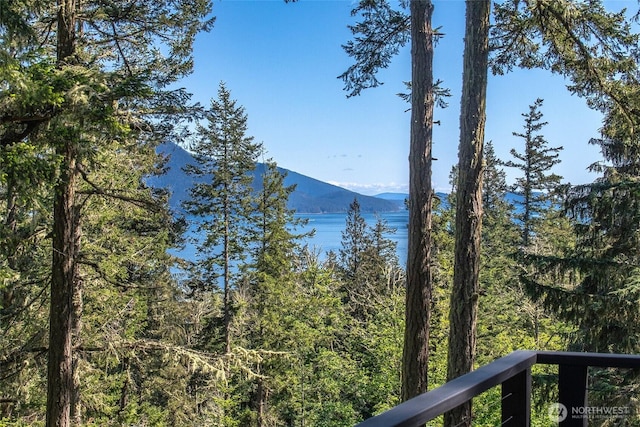 51 Lakshmi Rd, Orcas Island, WA 98245 - view of mountain background featuring a large body of water