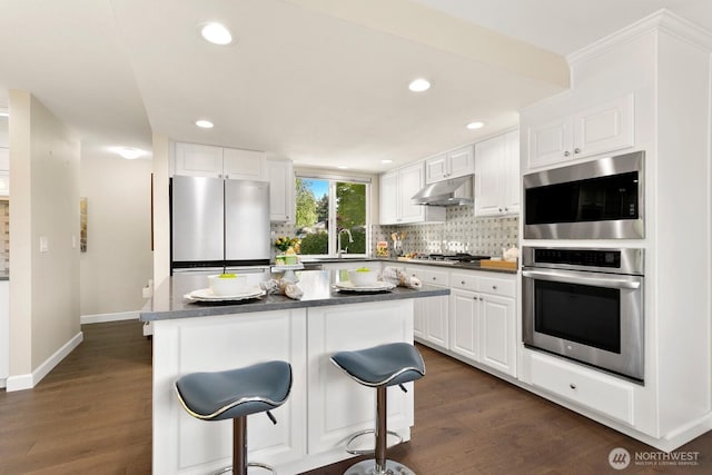 kitchen featuring dark wood-style flooring, under cabinet range hood, a sink, backsplash, and stainless steel appliances