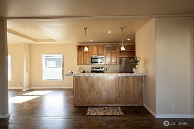 kitchen featuring stainless steel appliances, baseboards, dark wood finished floors, and hanging light fixtures