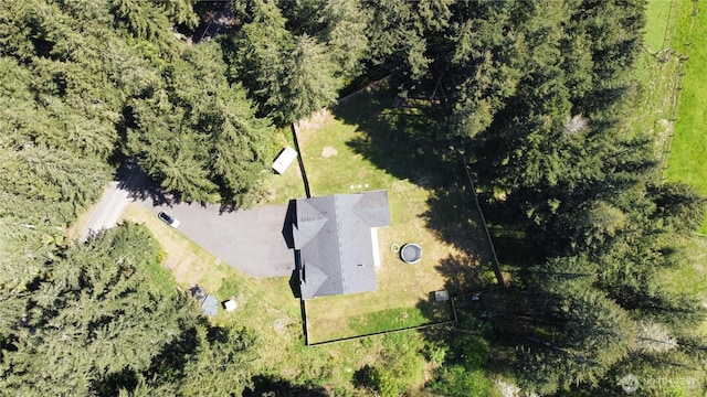 bird's eye view