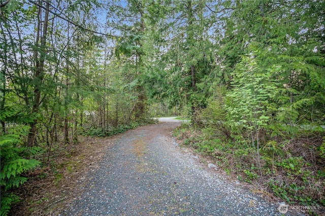 view of road featuring a wooded view