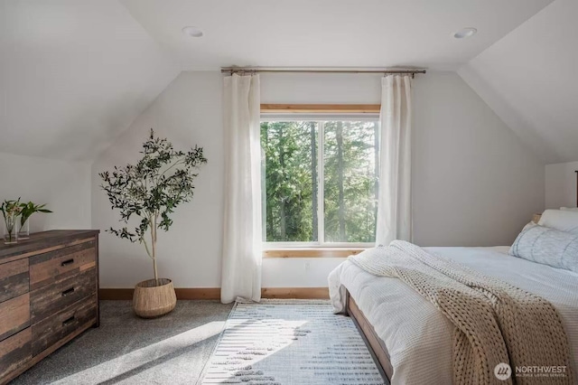 41 Hawkeye, Ronald, WA 98940 - carpeted bedroom with vaulted ceiling and baseboards