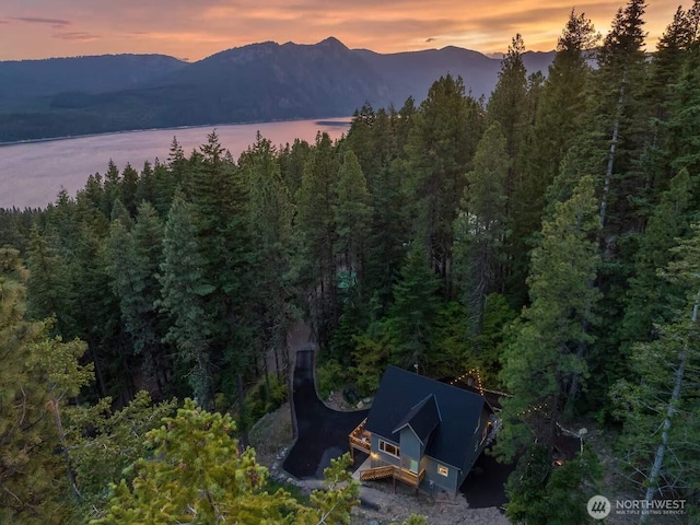 41 Hawkeye, Ronald, WA 98940 - aerial view with a mountain view and a view of trees