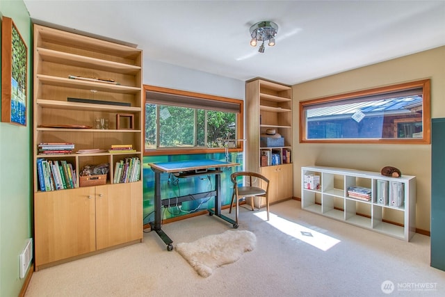 97 Snowberry Ln, Orcas Island, WA 98245 - carpeted office space featuring baseboards