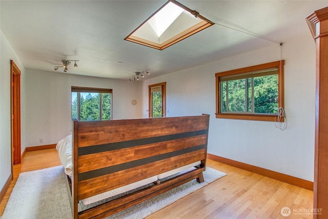 97 Snowberry Ln, Orcas Island, WA 98245 - bedroom with a skylight, light wood-type flooring, and rail lighting