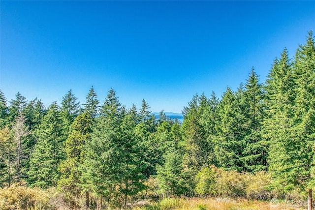 97 Snowberry Ln, Orcas Island, WA 98245 - view of woods
