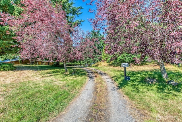 97 Snowberry Ln, Orcas Island, WA 98245 - view of dirt / gravel driveway