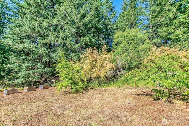 97 Snowberry Ln, Orcas Island, WA 98245 - view of nature