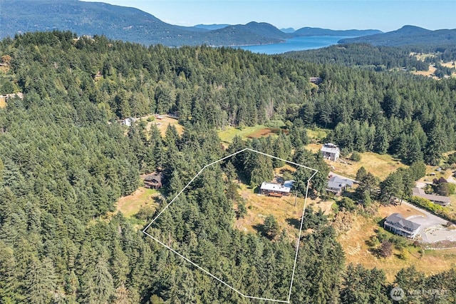 97 Snowberry Ln, Orcas Island, WA 98245 - view of property location with property boundaries highlighted
