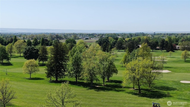 811 Country Club Dr, Walla Walla, WA 99362 - view of community featuring a lawn