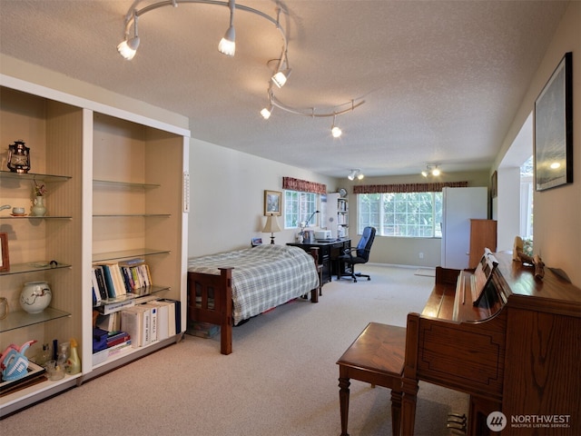 597 Yale Bridge Rd, Ariel, WA 98603 - bedroom with carpet floors and a textured ceiling