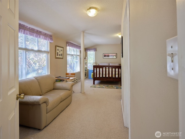 597 Yale Bridge Rd, Ariel, WA 98603 - carpeted bedroom with vaulted ceiling