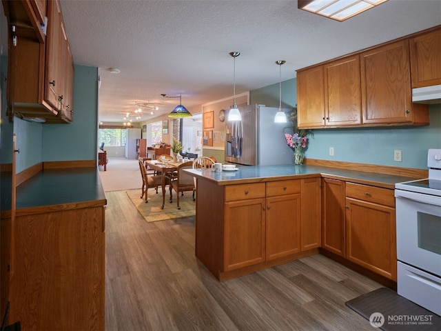597 Yale Bridge Rd, Ariel, WA 98603 - kitchen with white electric stove, a peninsula, under cabinet range hood, and dark wood finished floors