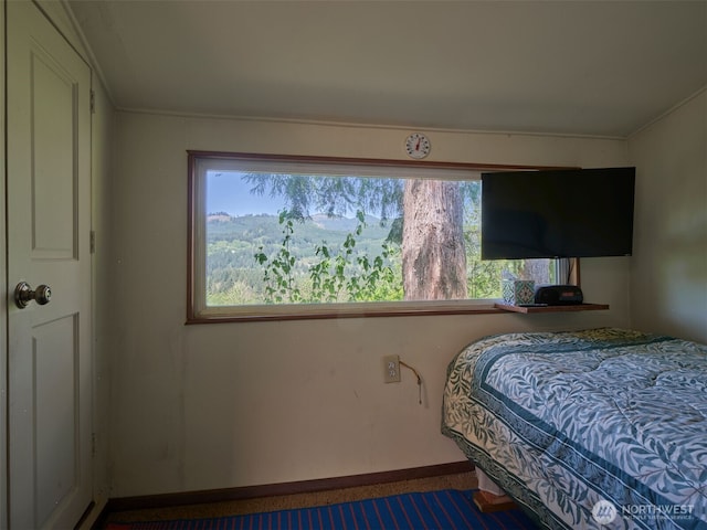 597 Yale Bridge Rd, Ariel, WA 98603 - bedroom featuring carpet floors, baseboards, and crown molding