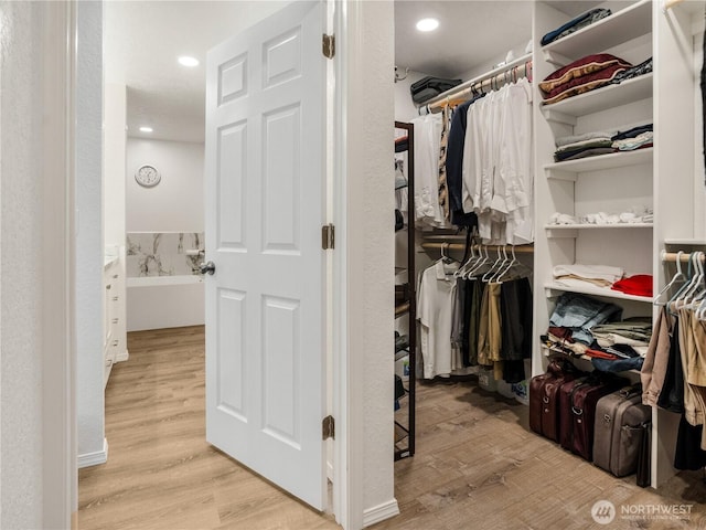 walk in closet featuring wood finished floors