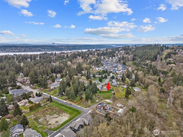122XX SE 91st St, Newcastle, WA 98056 - photo 11