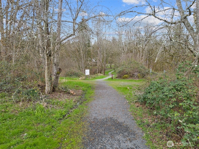 122XX SE 91st St, Newcastle, WA 98056 - photo 13