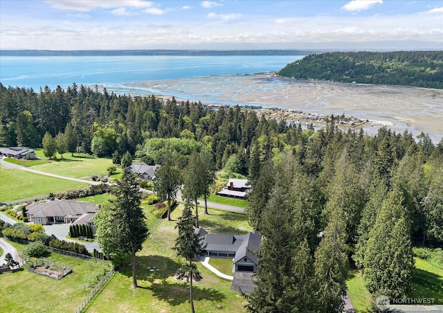 4306 Quaternary Rd, Clinton, WA 98236 - birds eye view of property with a water view and a wooded view