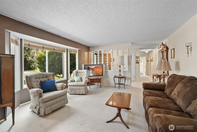 living room with carpet flooring, a textured ceiling, and baseboards